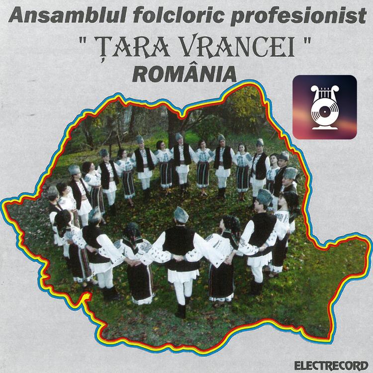 Ansamblul Folcloric Țara Vrancei, România's avatar image