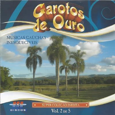 Músicas Gaúchas Inesquecíveis, Vol. 2's cover