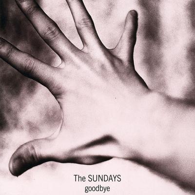 Wild Horses By The Sundays's cover