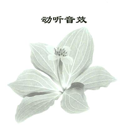 动听音效's cover