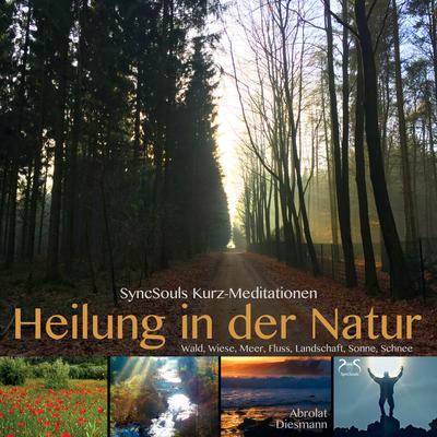 Heilung in der Natur - SyncSouls Kurzmeditationen: Wald, Wiese, Meer, Fluss, Landschaft, Sonne, Schnee's cover