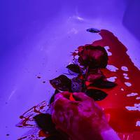 Lagu Jurus R Tiktok Music Search