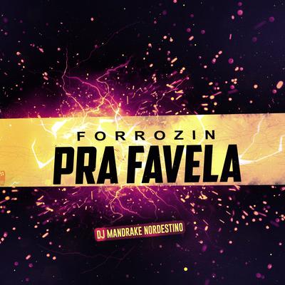 Forrozin Você Veio pra Favela By Dj Mandrake Nordestino's cover