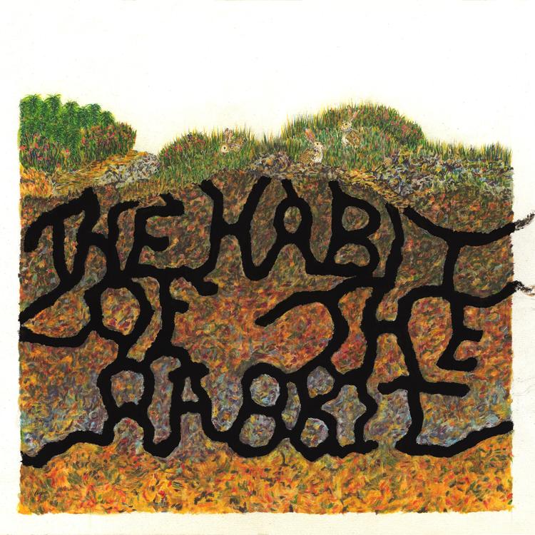 The Habit of The Rabbit's avatar image