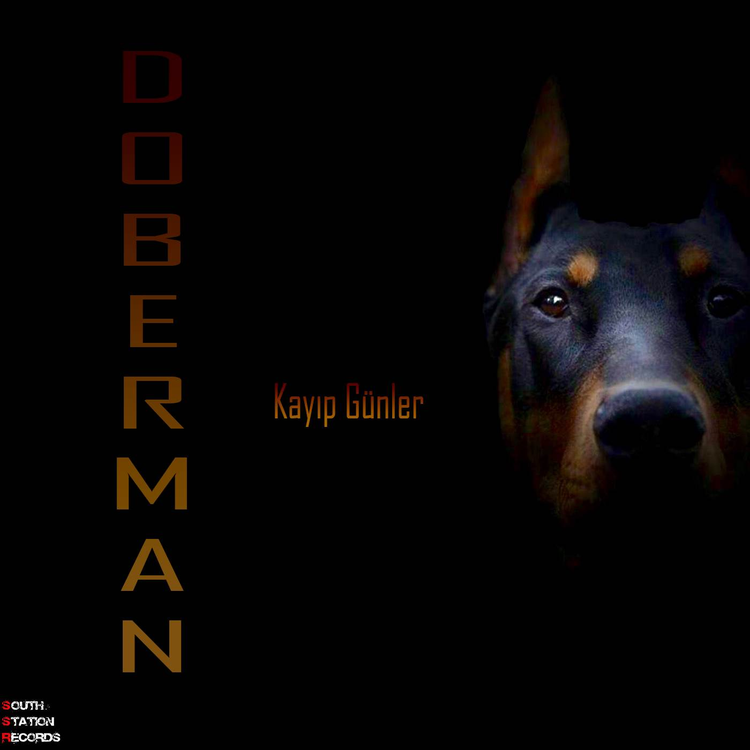 Doberman's avatar image