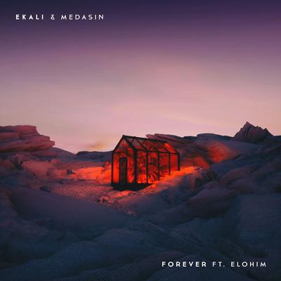 Forever (feat. Elohim) By Elohim, Ekali, Medasin's cover