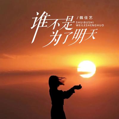 谁不是为了明天 (Dj沈念版) By 魏佳艺's cover