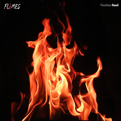 Flames (Acoustic) By Fearless Soul, Tyler Burdic's cover
