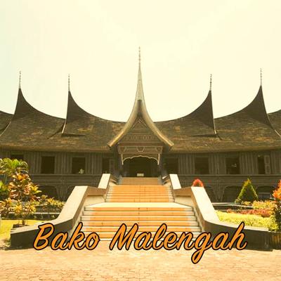 Bako Malengah's cover