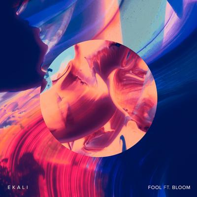 Fool (feat. Bloom)'s cover