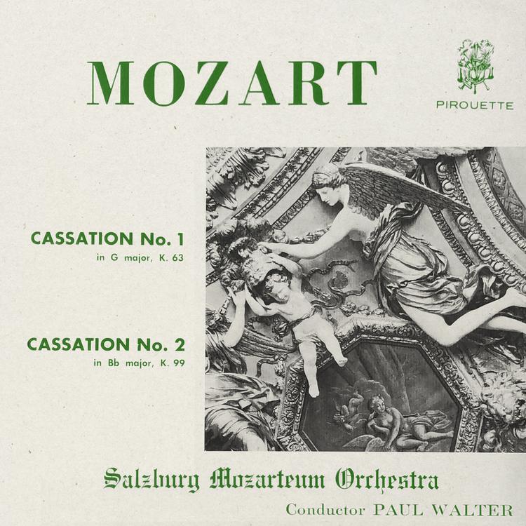 The Salzburg Mozarteum Orchestra's avatar image