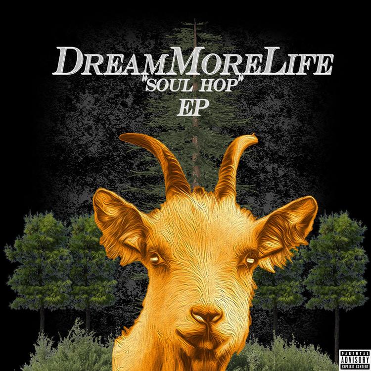 Dreammorelife's avatar image