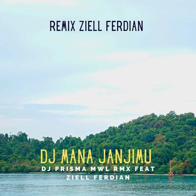 DJ TIKTOK MANA JANJIMU By Ziell Ferdian's cover