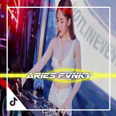 Aries Fvnky's cover