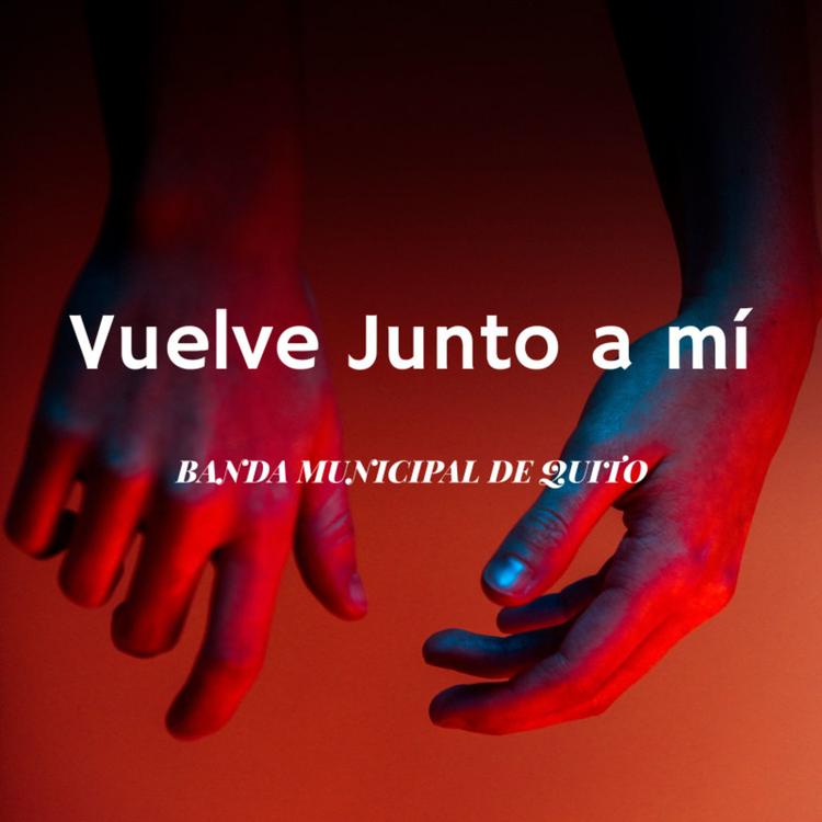 Banda Municipal de Quito's avatar image