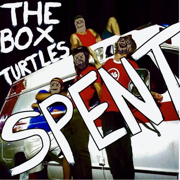 The Box Turtles's avatar image