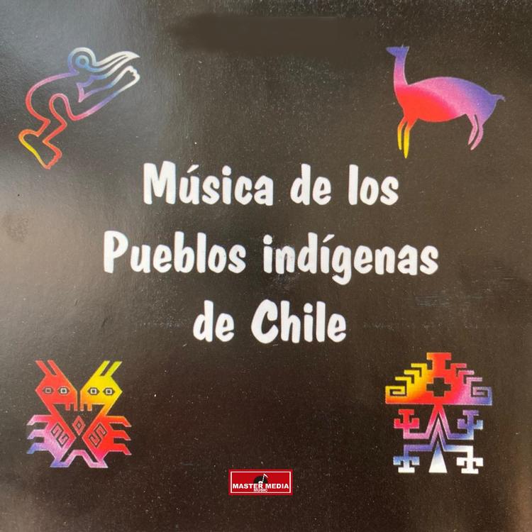 Musica de los Pueblos Indigenas's avatar image