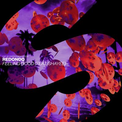 Feeling Good (feat. Shayee) By Redondo, Shayee's cover