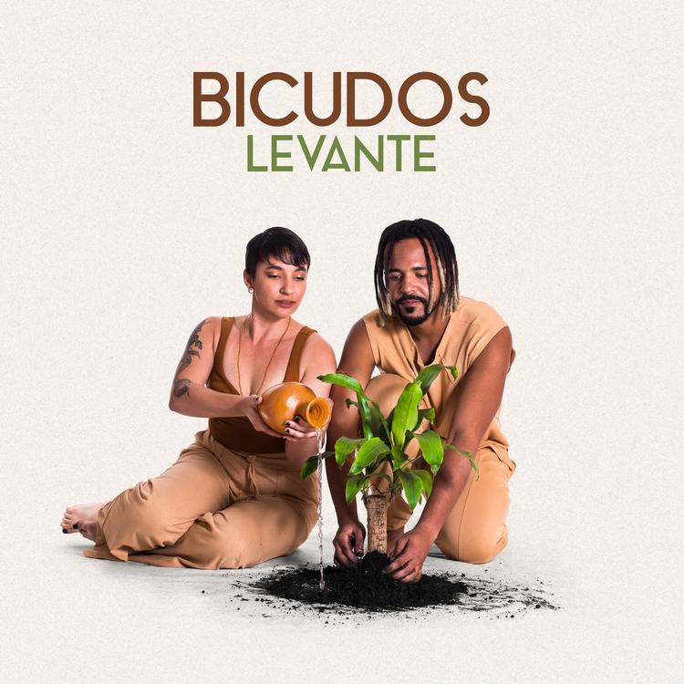 Bicudos's avatar image