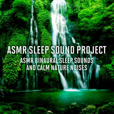 ASMR Sleep Binaural Synthesizer and Birds Sounds 1 By ASMR Sleep Sound Project's cover