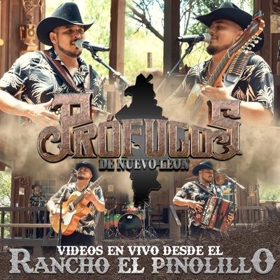 Videos En Vivo Desde El Rancho El Pinolillo's cover