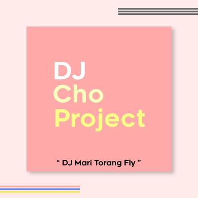 DJ Mari Torang Fly's cover