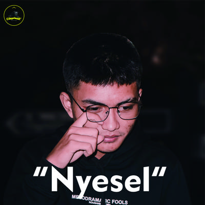 Nyesel's cover