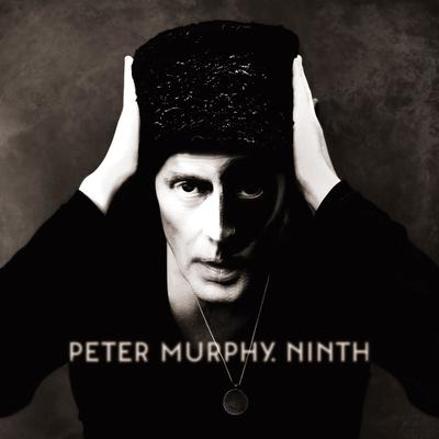 Never Fall Out By Peter Murphy's cover