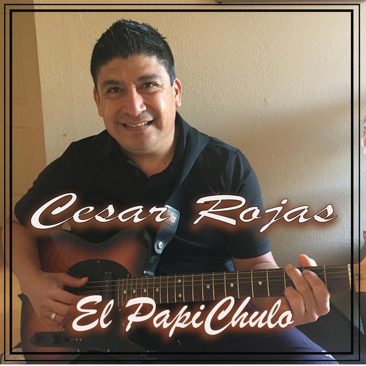 Cesar Rojas's avatar image