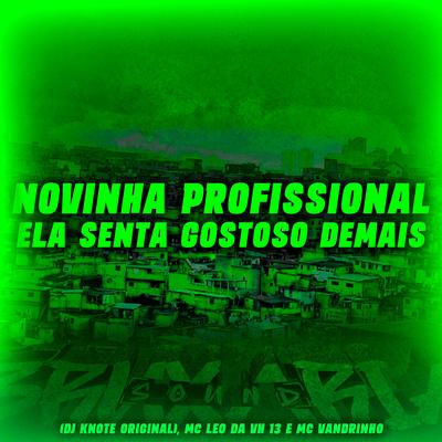 Novinha Profissional Ela Senta Gostoso Demais By DJ KNOTE ORIGINAL, MC LEO DA VH 13, MC VANDRINHO's cover