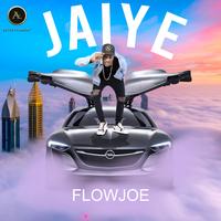 FlowJoe's avatar cover
