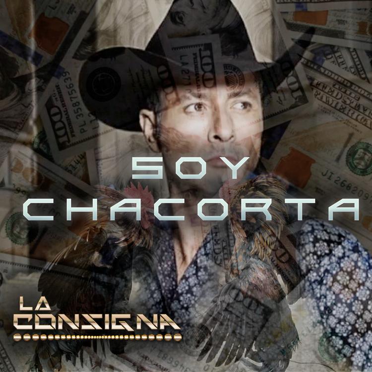 La Consigna's avatar image