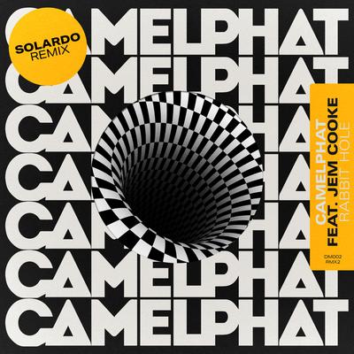 Rabbit Hole (Solardo Remix) By CamelPhat, Jem Cooke, Solardo's cover