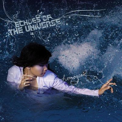 Echoes of the Universe's cover