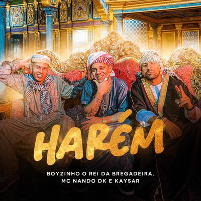 HARÉM By Kaysar, Boyzinho o Rei da Bregadeira, MC Nando DK's cover