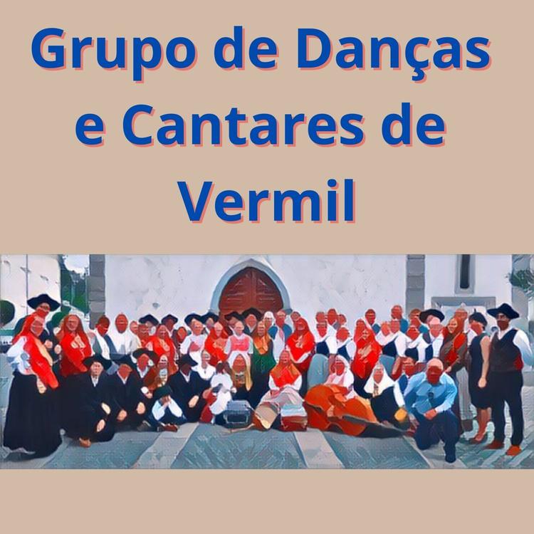 Grupo De Danças E Cantares De Vermil's avatar image