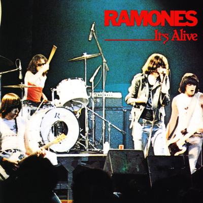 Do You Wanna Dance? By Ramones's cover