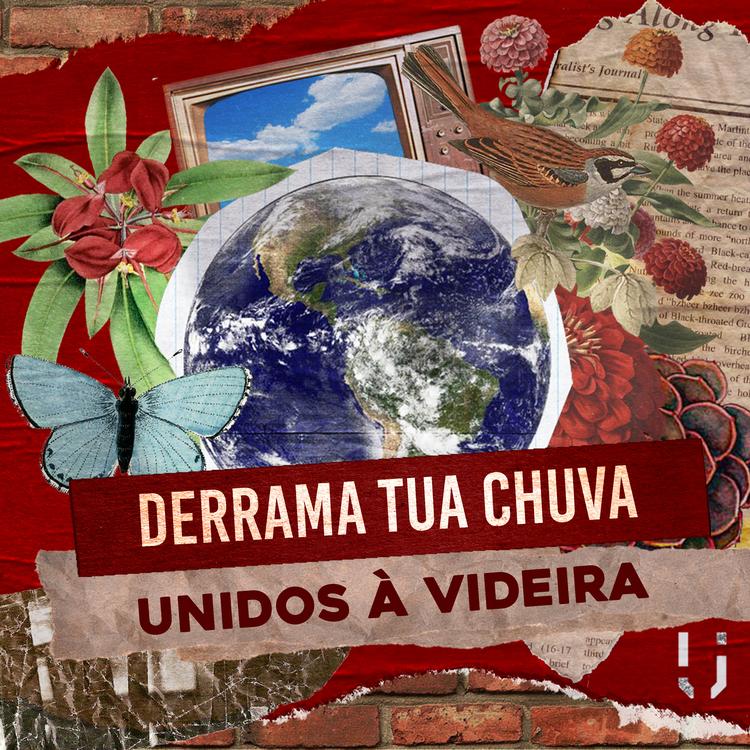 Unidos à Videira's avatar image