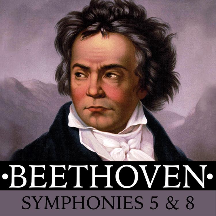 Radio Symphony Orchestra Ljubtjana's avatar image