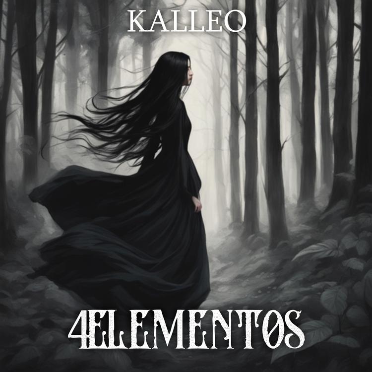 Kalleo's avatar image