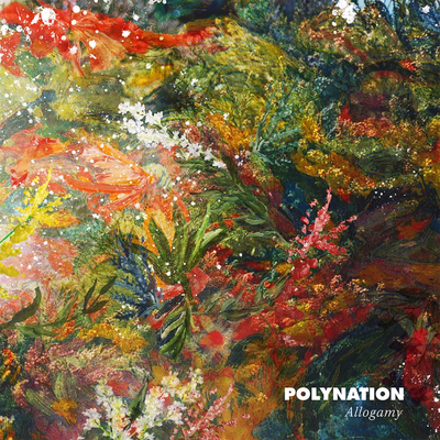 Swell By Polynation's cover