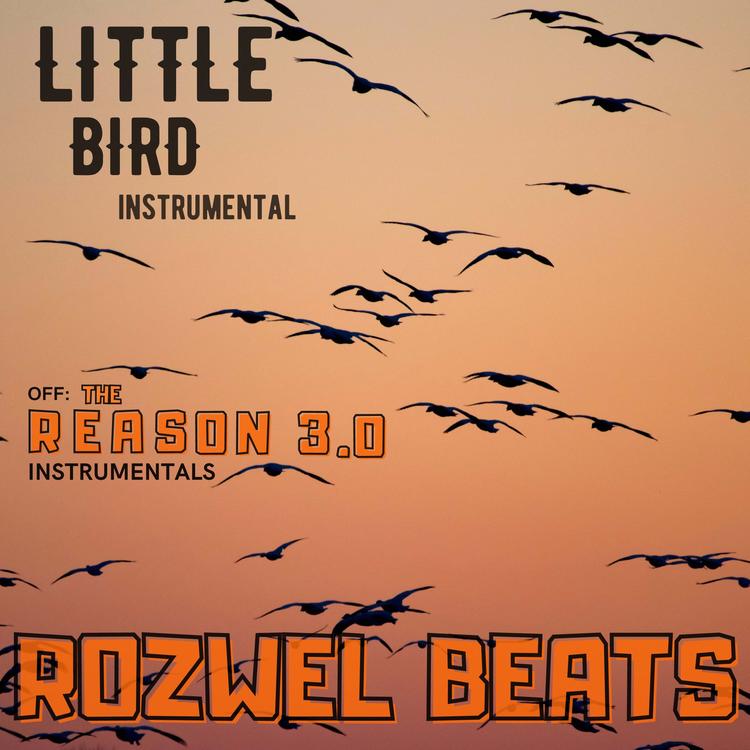 Rozwel Beats's avatar image