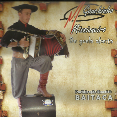 Mãe das Bailantas By Gauchinho Missioneiro, Baitaca's cover