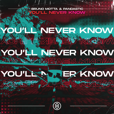 You'll Never Know By Bruno Motta, Pandastic's cover