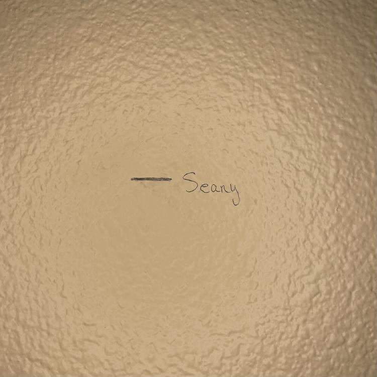 Seany's avatar image