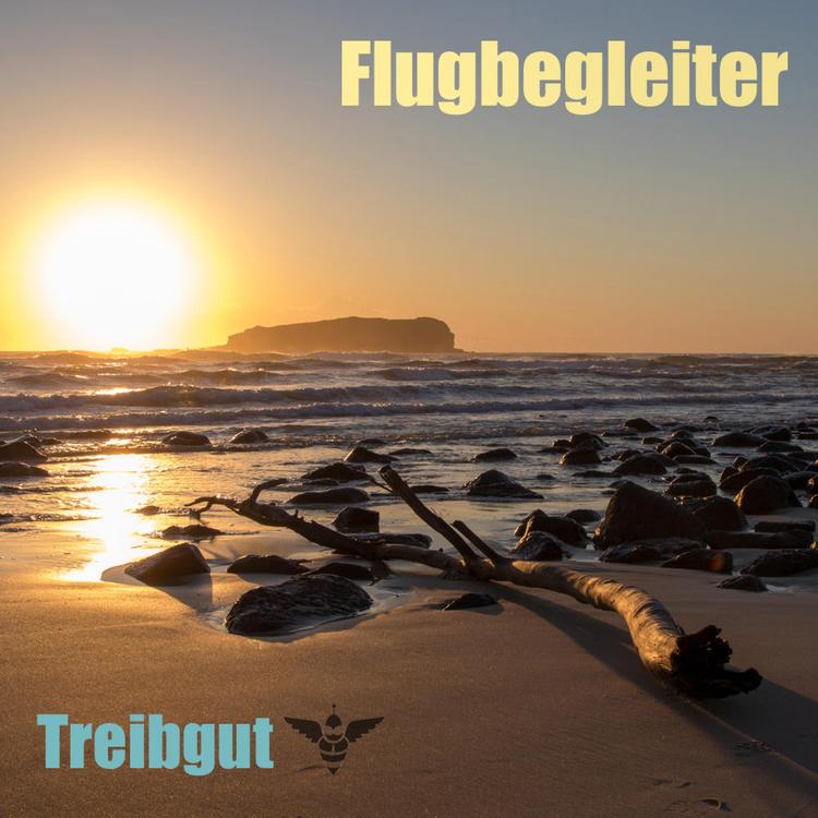 Flugbegleiter's avatar image