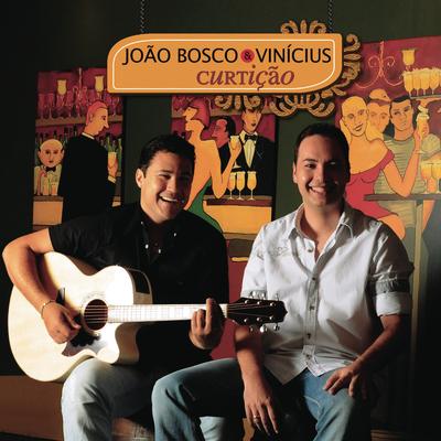 Larguei de ser besta (Ao Vivo) By João Bosco & Vinicius's cover