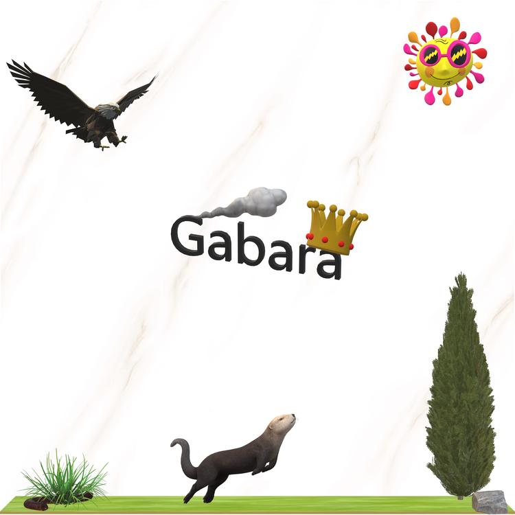 Gabara's avatar image