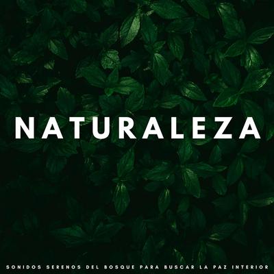 Naturaleza Sana's cover