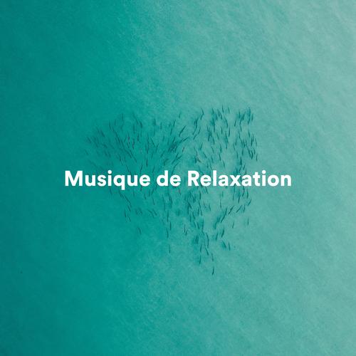 Musique Zen Official Tiktok Music  album by Musique Relaxante 101-Musique  Relaxante et Détente-Musique de Relaxation - Listening To All 7 Musics On  Tiktok Music